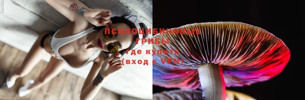 твердый Абинск