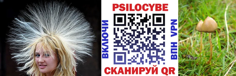 Псилоцибиновые грибы Psilocybe Ханты-Мансийск