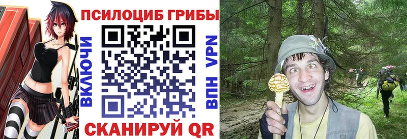 MEGA маркетплейс Ханты-Мансийск Галлюциногенные грибы Psilocybe