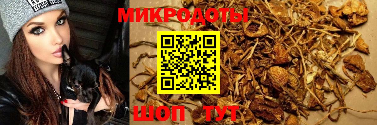 Псилоцибиновые грибы мухоморы Ханты-Мансийск